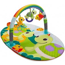  Infantino Topsy Turvy Explore and Store Activity Gym Turtles (Multicolor)